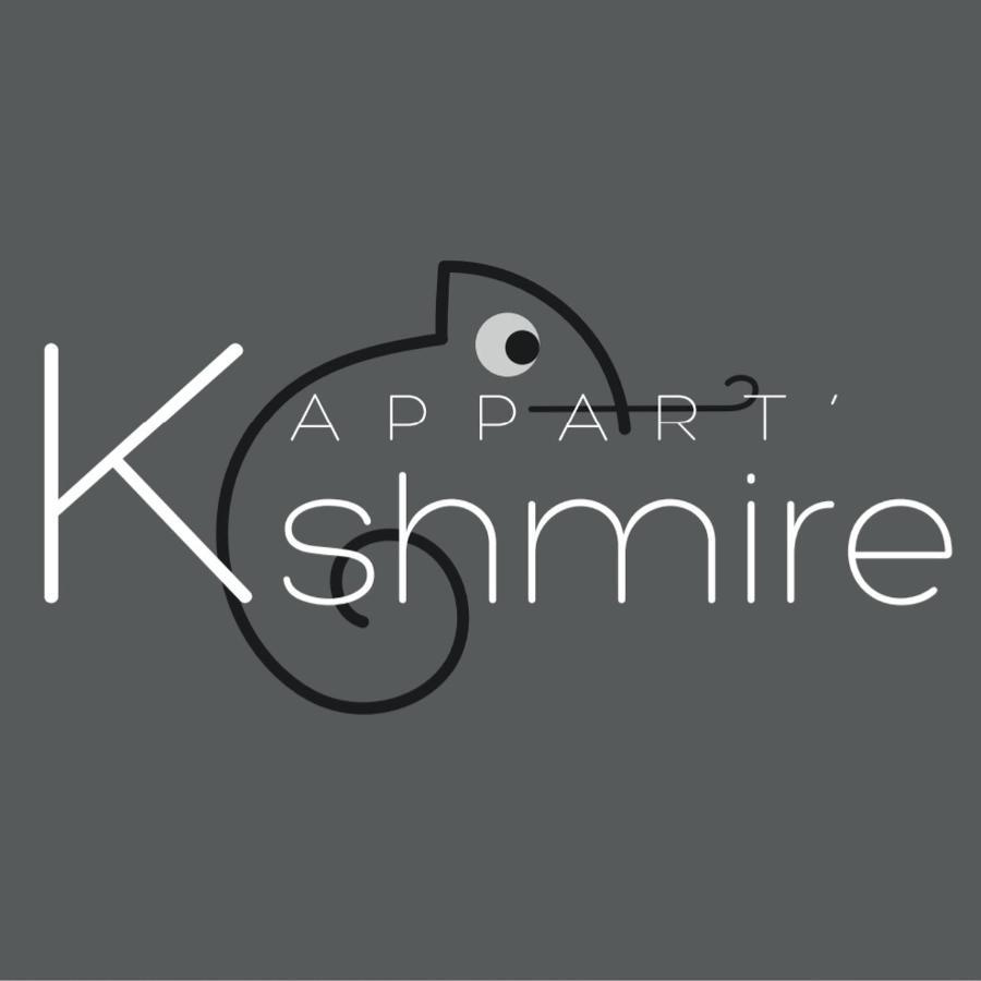 L'Appart K-Shmire- Cosy Et Spacieux, 4 Pers Le Mans Dış mekan fotoğraf